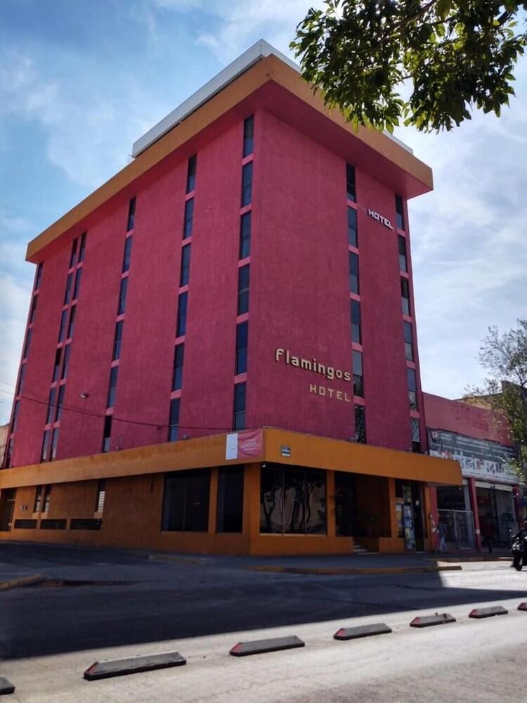 Hotel Flamingos Guadalajara Zewnętrze zdjęcie