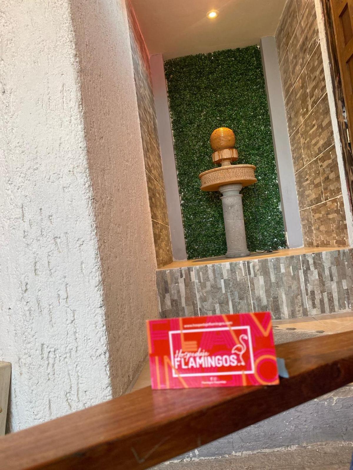 Hotel Flamingos Guadalajara Zewnętrze zdjęcie