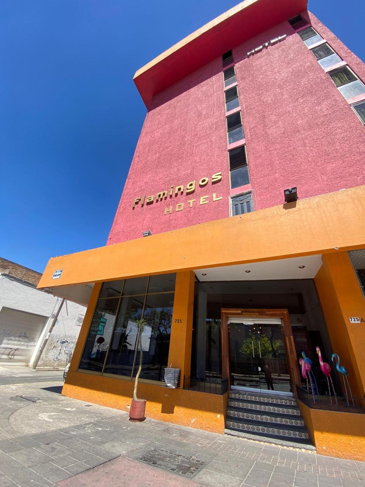 Hotel Flamingos Guadalajara Zewnętrze zdjęcie